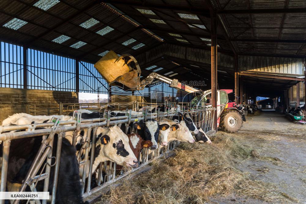 Illustration Agriculture - France