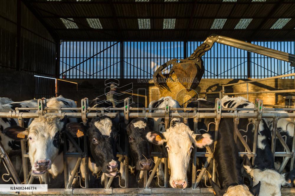 Illustration Agriculture - France