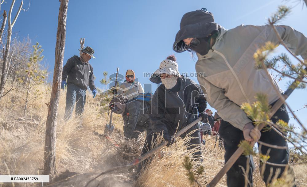 (InXizang) CHINA-XIZANG-LHASA-BARREN MOUNTAIN-TREE PLANTING (CN)