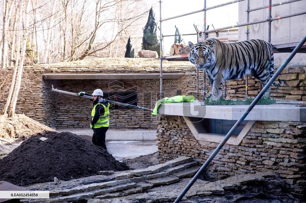 Tiger Valley construction