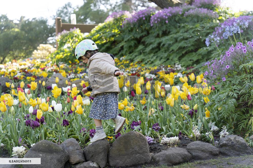 U.S.-SAN FRANCISCO-SPRING