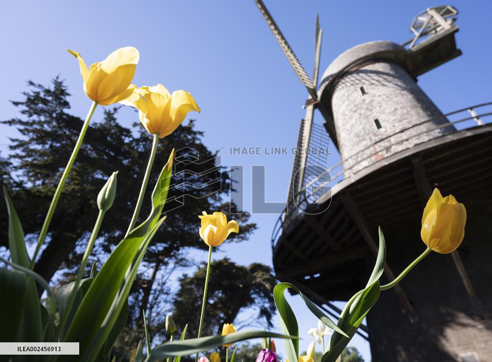 U.S.-SAN FRANCISCO-SPRING