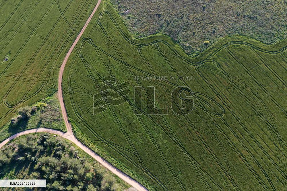 ISRAEL-BEN SHEMEN FOREST-AERIAL VIEW