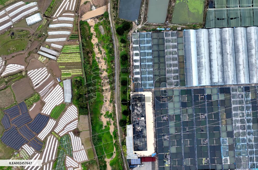 CHINA-FUJIAN-FUZHOU-GOLDFISH-BREEDING (CN)