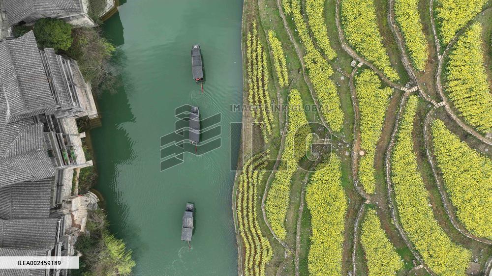 #CHINA-GUIZHOU-ZUNYI-SPRING-VIEW (CN)