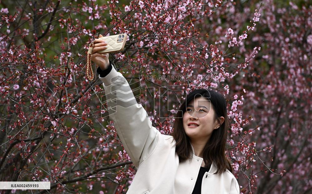 CHINA-GUIZHOU-ZUNYI-SPRING-VIEW (CN)