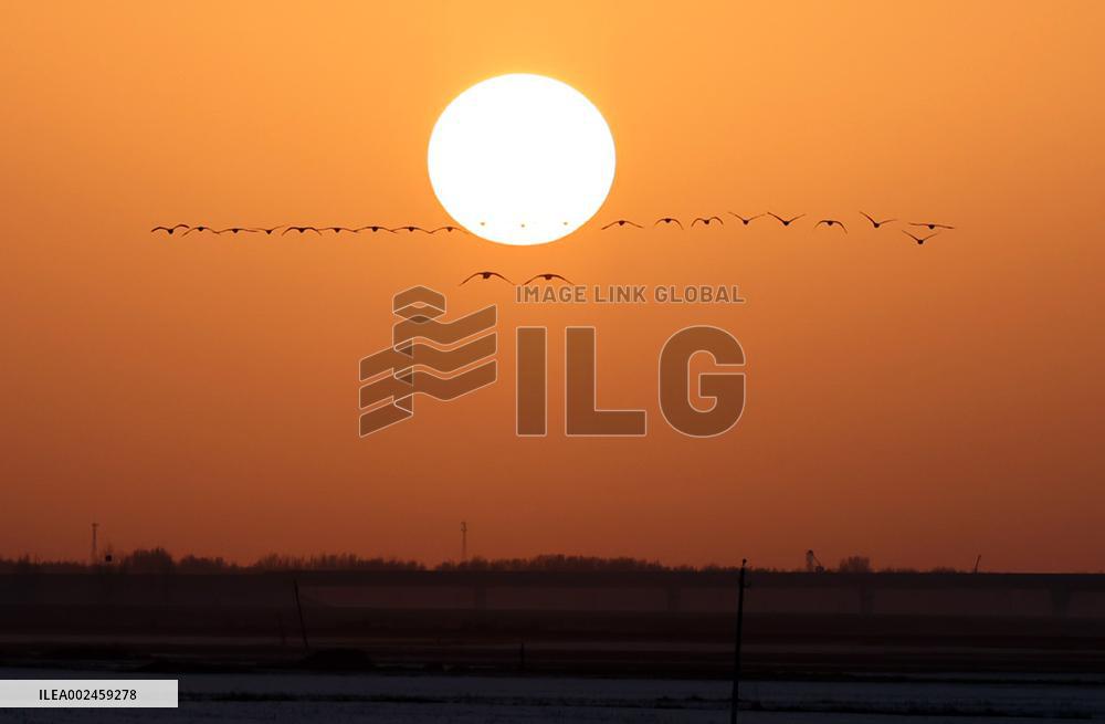 XINHUA PHOTOS OF THE DAY