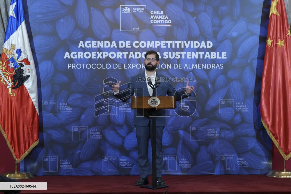 Protocol signed for access of Chilean almonds to China
