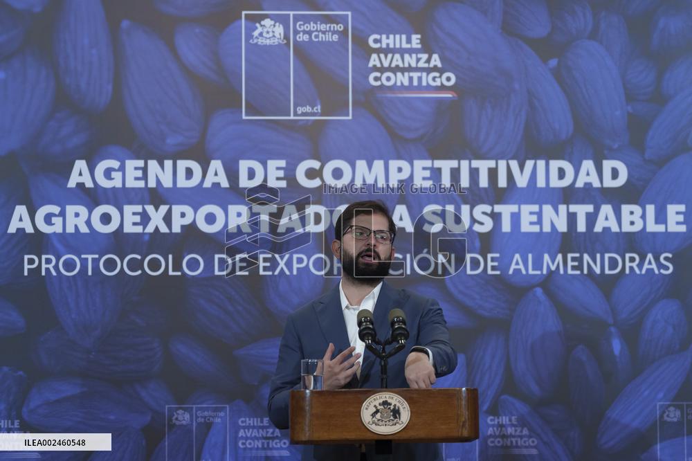 Protocol signed for access of Chilean almonds to China