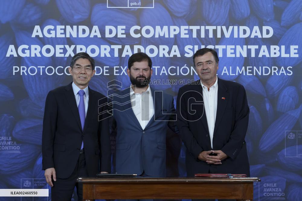 Protocol signed for access of Chilean almonds to China