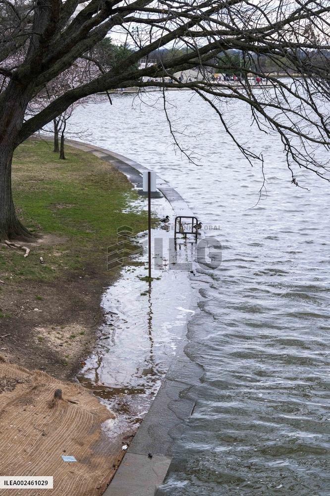 The National Park Service has announced a three-year $113 million sea wallrehabilitation projectaround the Tidal Basin, forcing