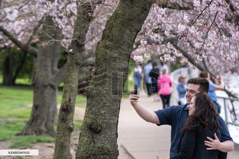 The National Park Service has announced a three-year $113 million sea wallrehabilitation projectaround the Tidal Basin, forcing