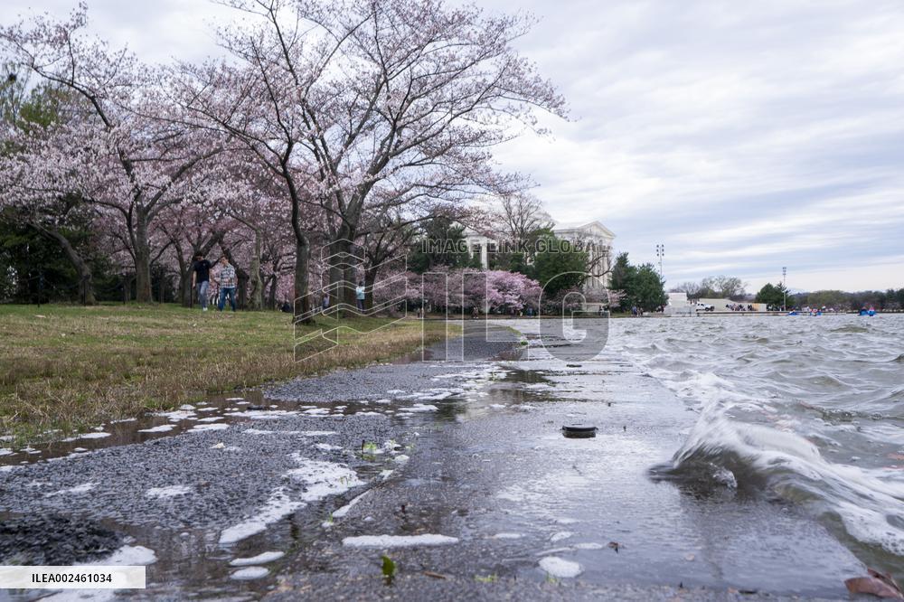 The National Park Service has announced a three-year $113 million sea wallrehabilitation projectaround the Tidal Basin, forcing