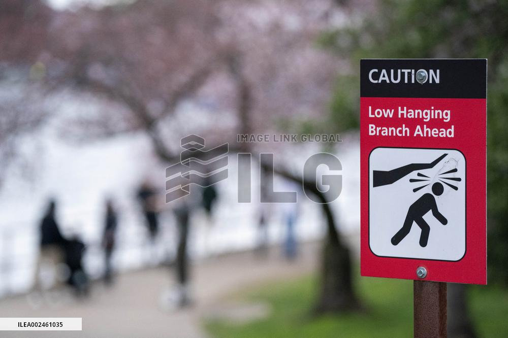 The National Park Service has announced a three-year $113 million sea wallrehabilitation projectaround the Tidal Basin, forcing