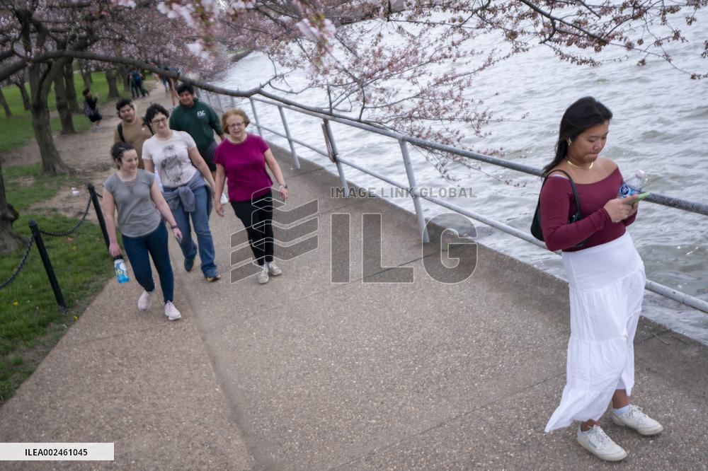 The National Park Service has announced a three-year $113 million sea wallrehabilitation projectaround the Tidal Basin, forcing