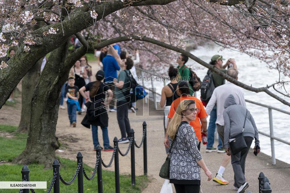 The National Park Service has announced a three-year $113 million sea wallrehabilitation projectaround the Tidal Basin, forcing