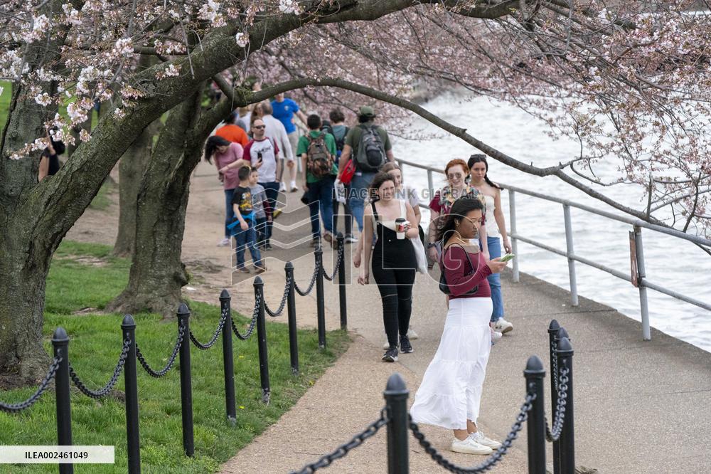 The National Park Service has announced a three-year $113 million sea wallrehabilitation projectaround the Tidal Basin, forcing