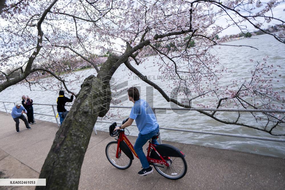 The National Park Service has announced a three-year $113 million sea wallrehabilitation projectaround the Tidal Basin, forcing