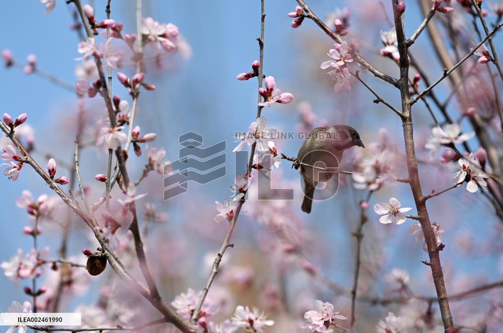 XINHUA PHOTOS OF THE DAY