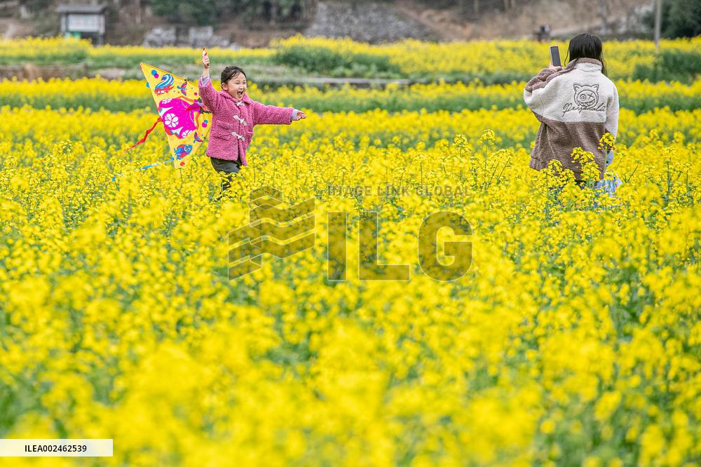 CHINA-CHONGQING-COLE FLOWERS (CN)