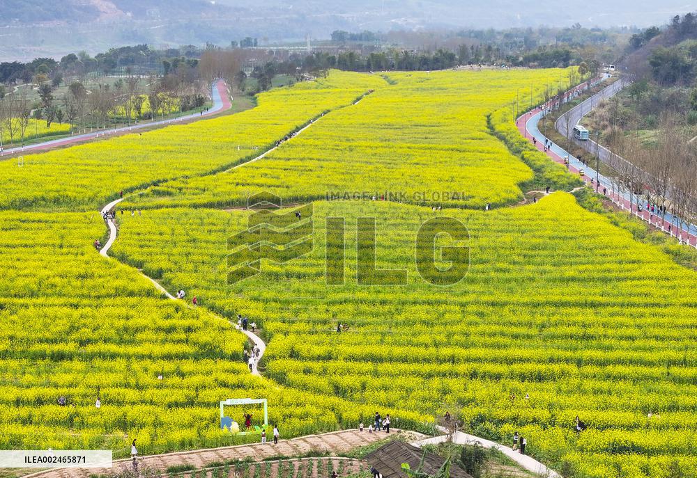 CHINA-CHONGQING-GUANGYANG ISLE-ECOLOGICAL EDUCATION (CN)