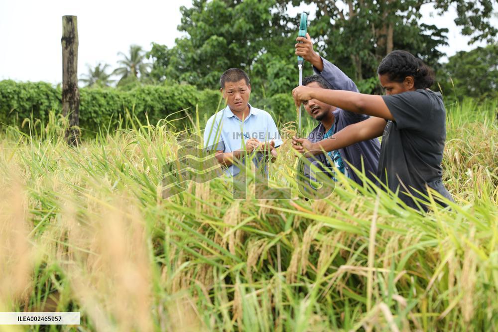 FIJI-NAUSORI-CHINA-AID AGRICULTURAL PROJECT
