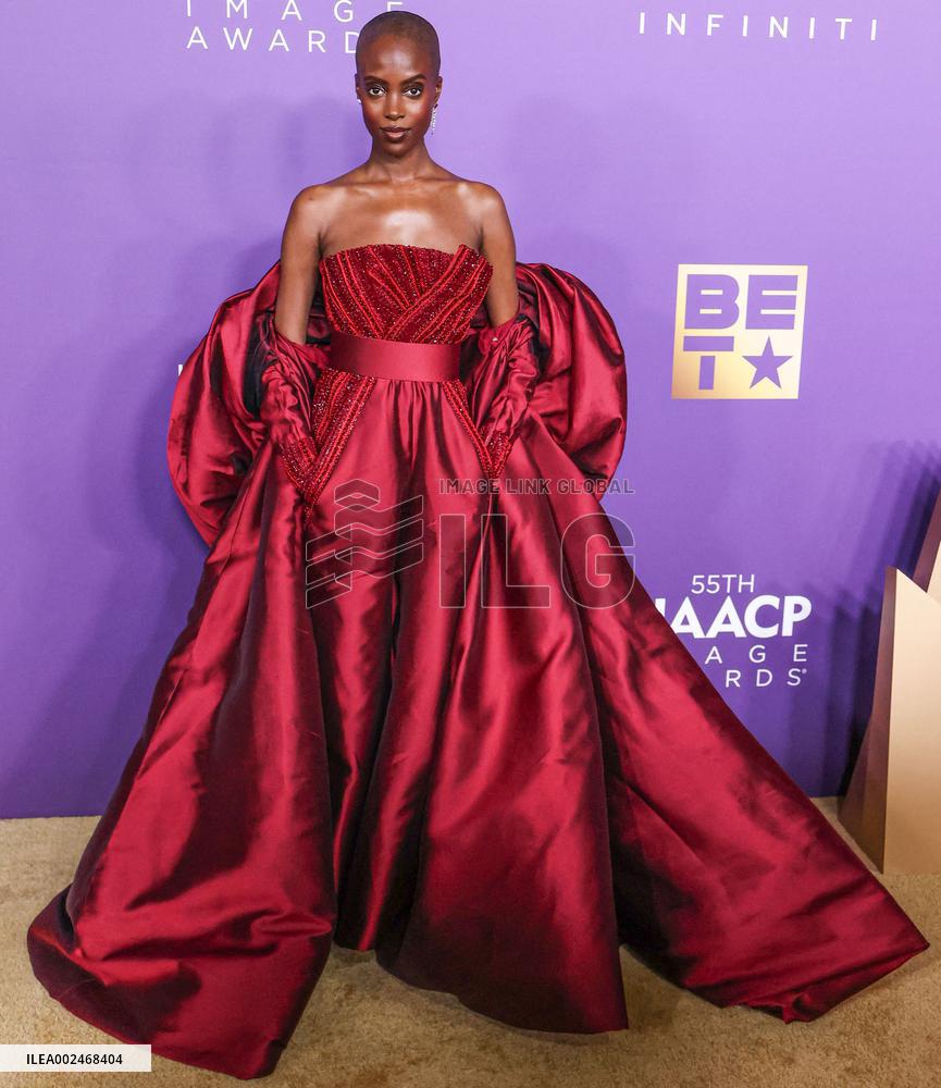 55th Annual NAACP Image Awards