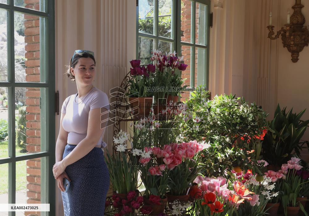 U.S.-WOODSIDE-FILOLI-SPRING SCENERY
