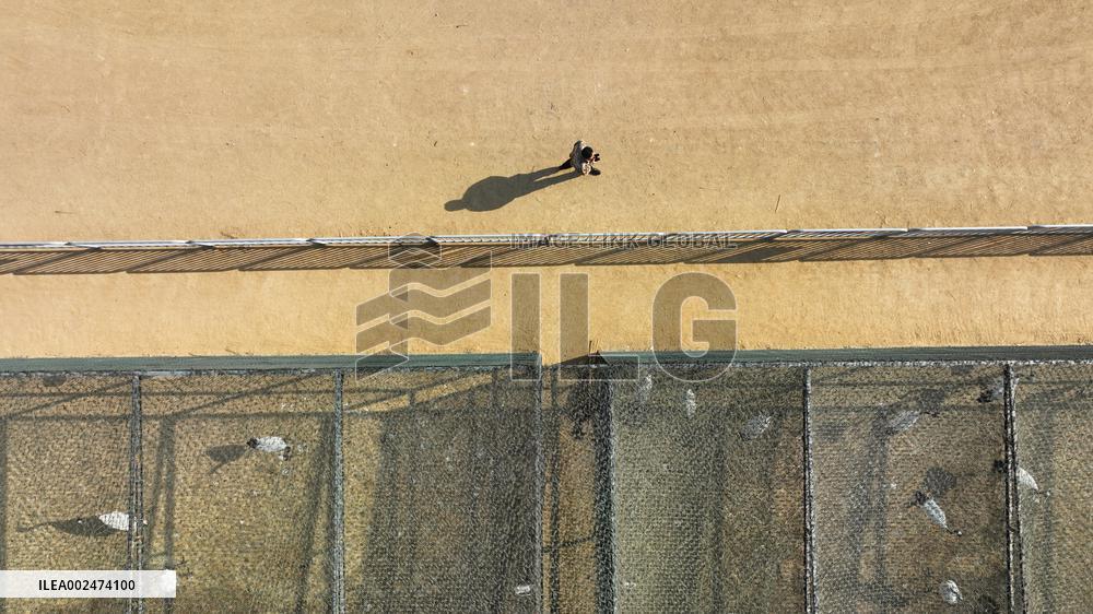 CHINA-LIAONING-PANJIN-RED-CROWNED CRANE-BREEDER (CN)