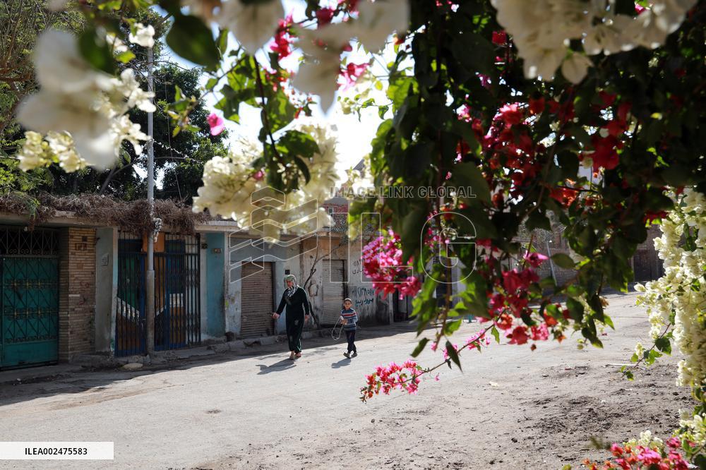 EGYPT-SPRING SCENERY