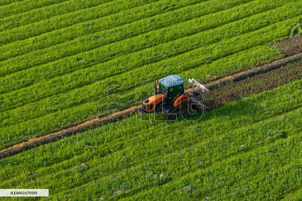 CHINA-HUNAN-AGRICULTURE-SPRING-FARMING (CN)