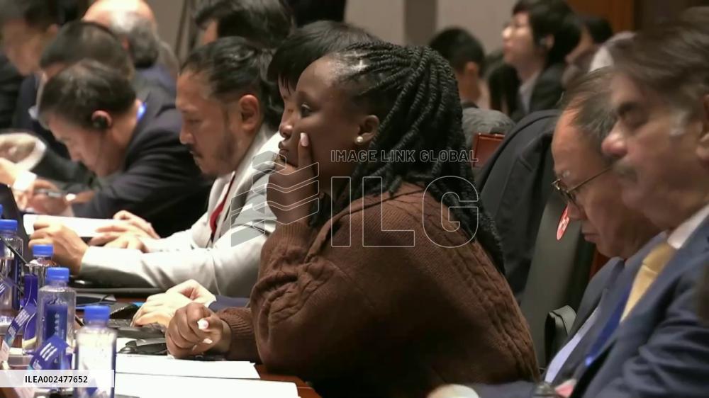 Sino-African cooperation in multipolar world has bright prospects: Kenyan expert