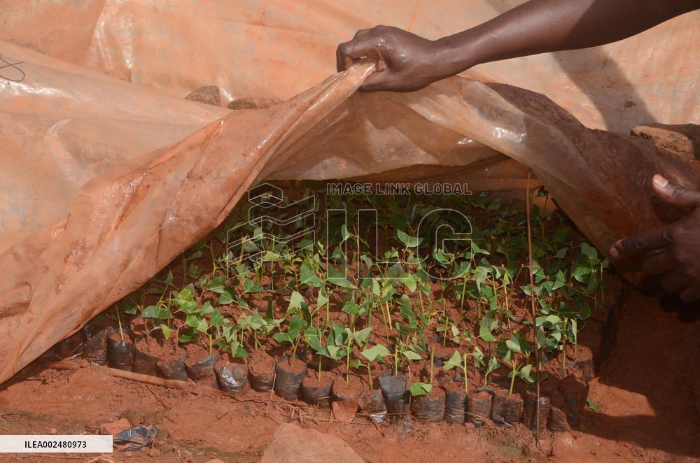 UGANDA-MPIGI-WORLD FOREST DAY