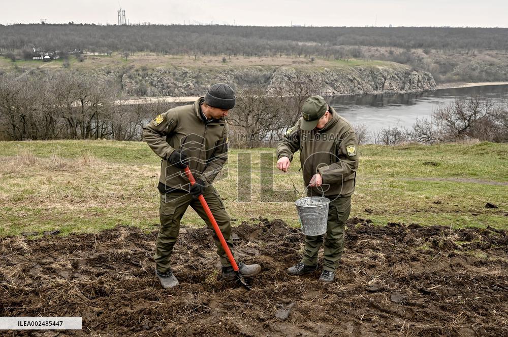 New young forest planted in Zaporizhzhia