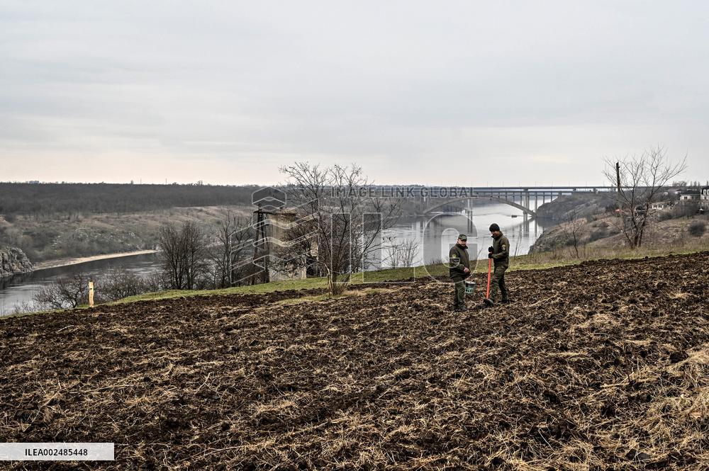 New young forest planted in Zaporizhzhia