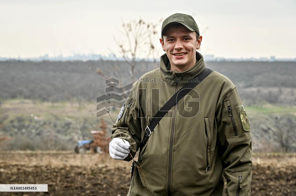 New young forest planted in Zaporizhzhia