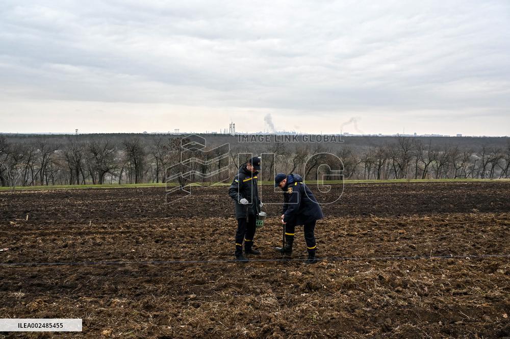 New young forest planted in Zaporizhzhia