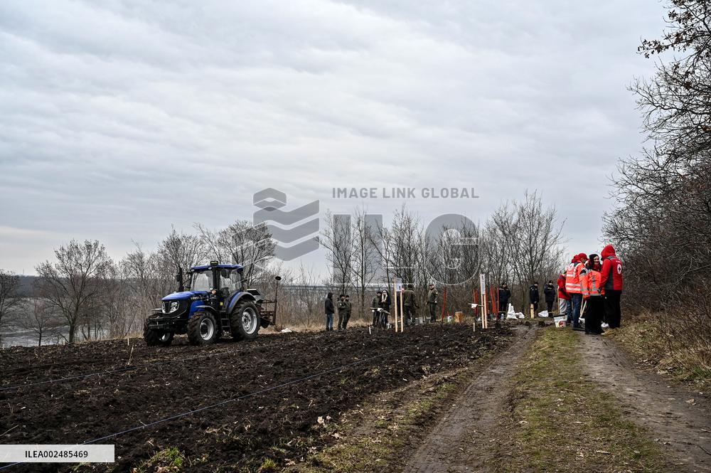 New young forest planted in Zaporizhzhia