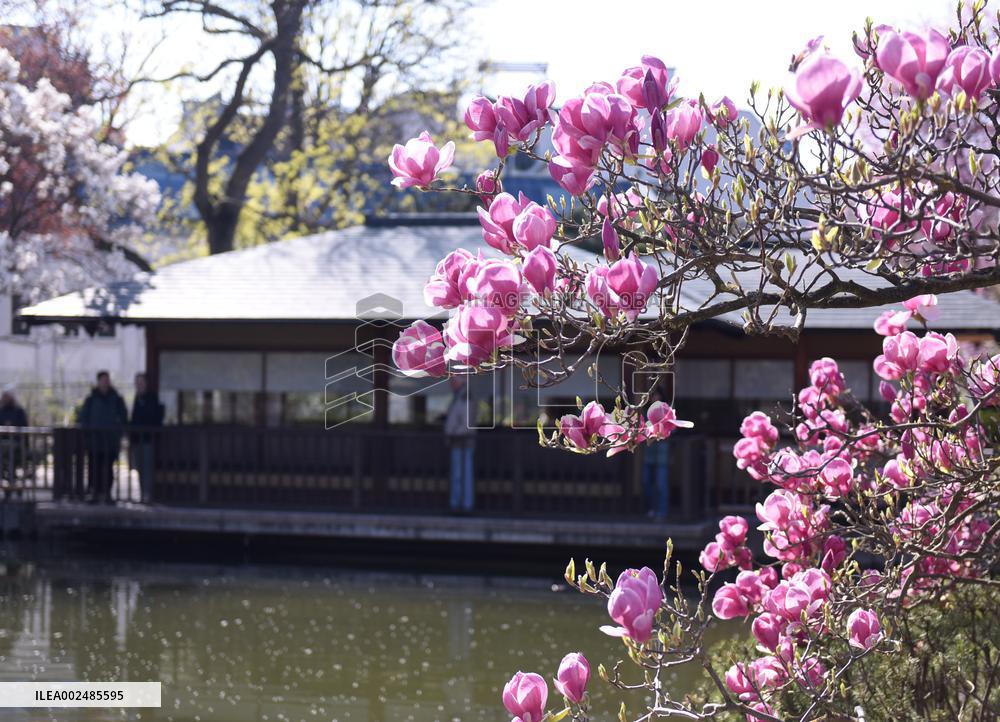 AUSTRIA-VIENNA-SPRING