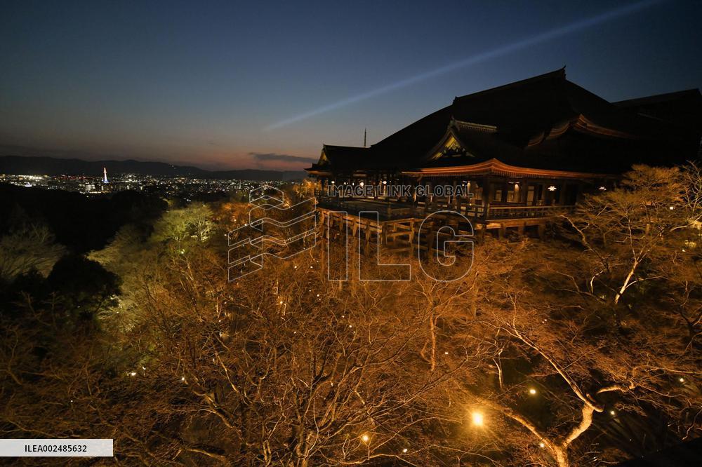 Kiyomizu temple lit up in Kyoto