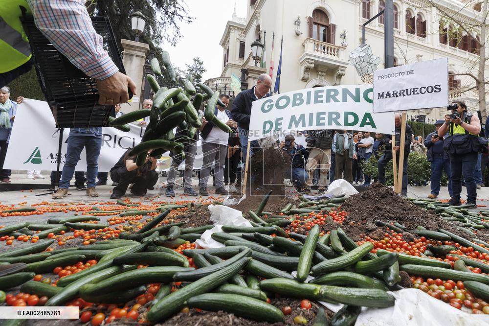 Tractorade Called By Agricultural Organizations - Granada
