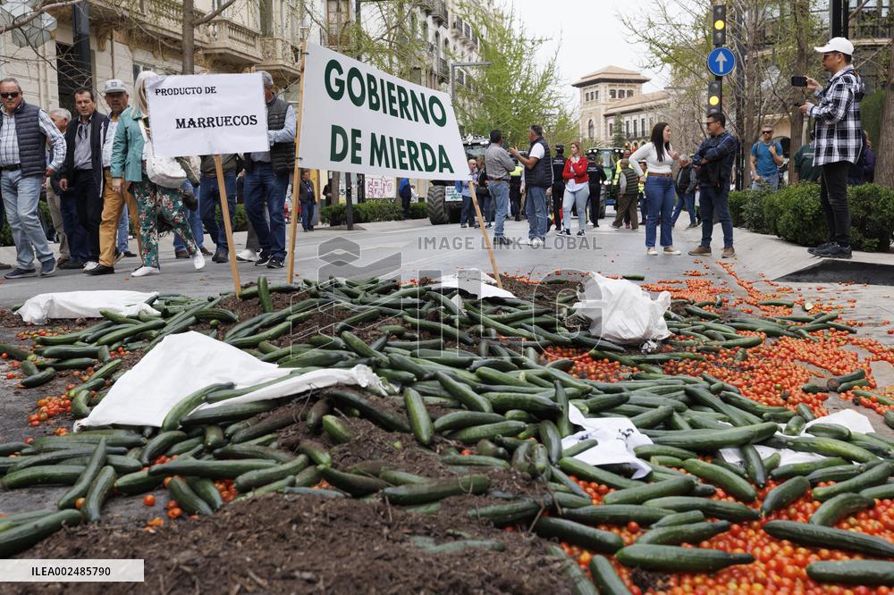 Tractorade Called By Agricultural Organizations - Granada