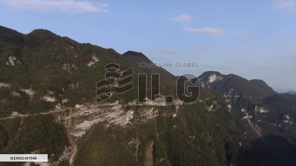 Number of leaf monkeys in China's Chongqing rises to over 180