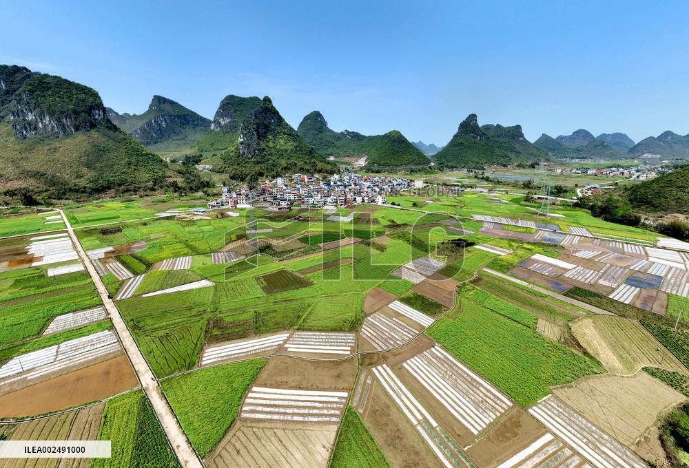 (EnchantingGuangxi)CHINA-GUANGXI-SPRING VIEW (CN)