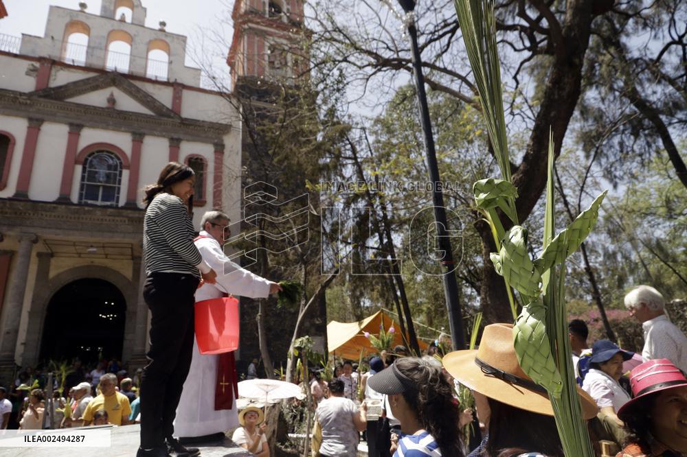 Palm Sunday - Mexico City