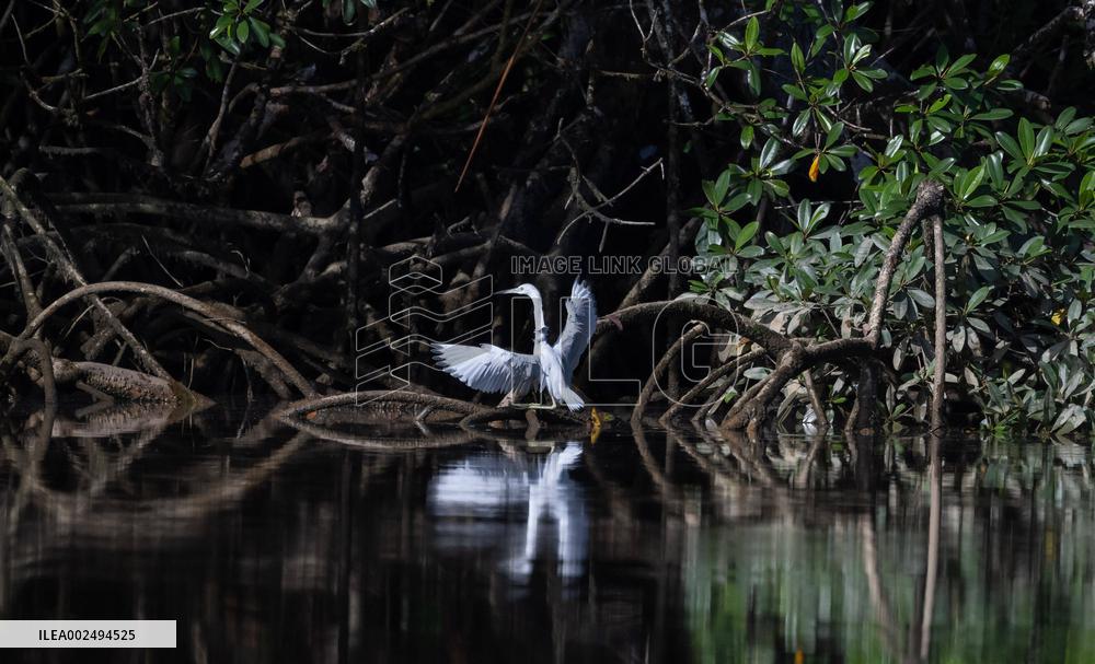 River Checkpoint At Saut Tourepe On The Approuague River - French Guiana