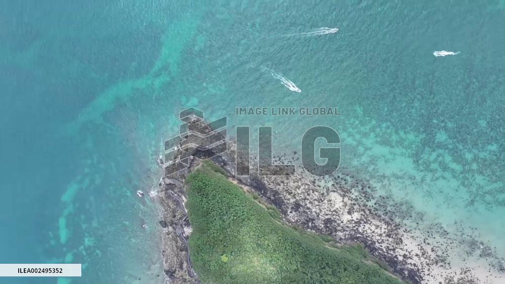 GLOBALink | Marine life observation event held on China's youngest volcanic island