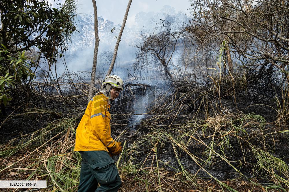 Forest Fire in Copacabana Antioquia