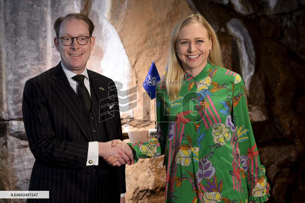 Hanalys 2024 - Finland, Sweden, and Ukraine in an Expanded EU