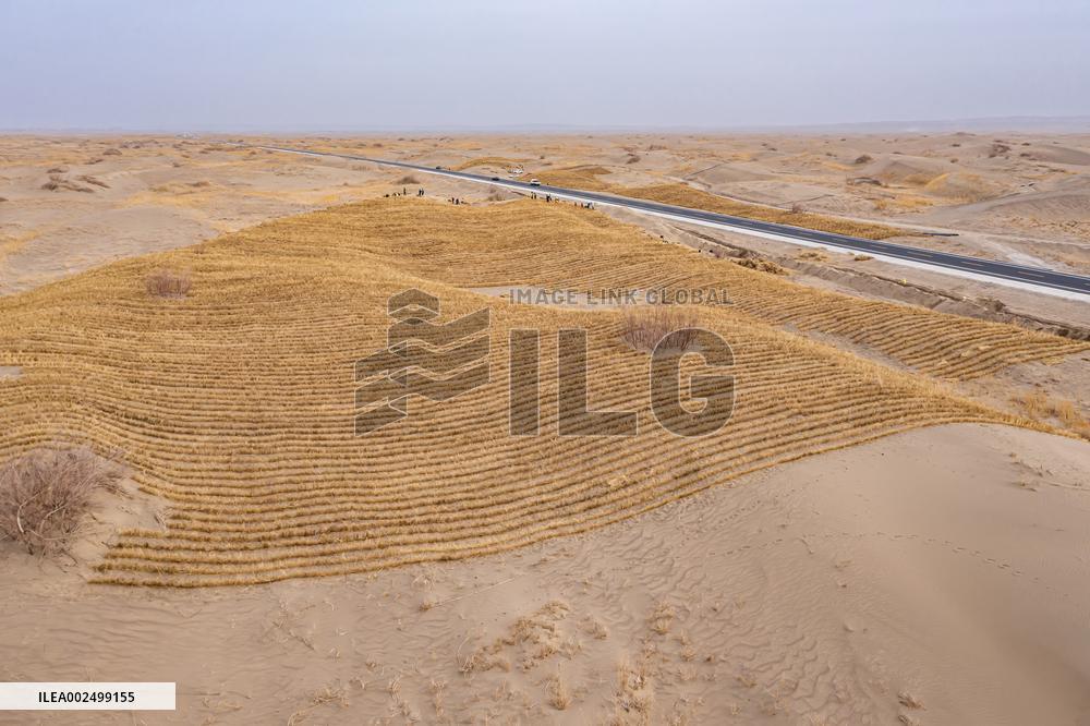 Afforestation And Greening Along The Jinhe Highway in Jiuquan